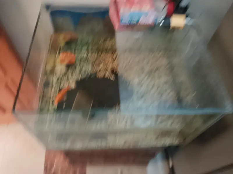 Fish Aquarium Big — photo 4
