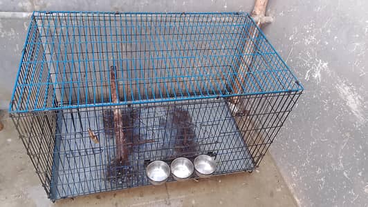 big parrot cage for sell in good condition