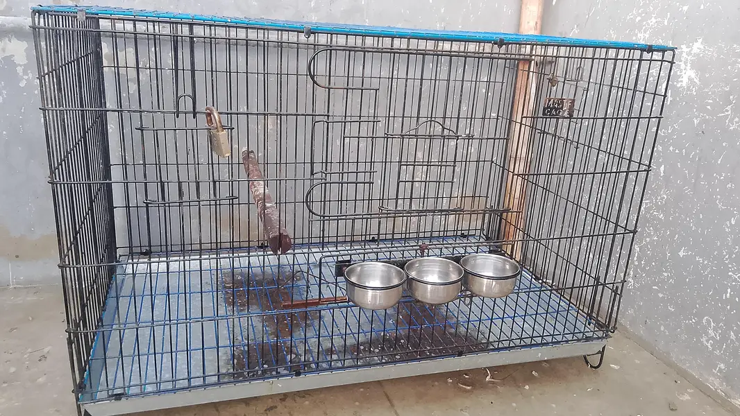 big parrot cage for sell in good condition — photo 2