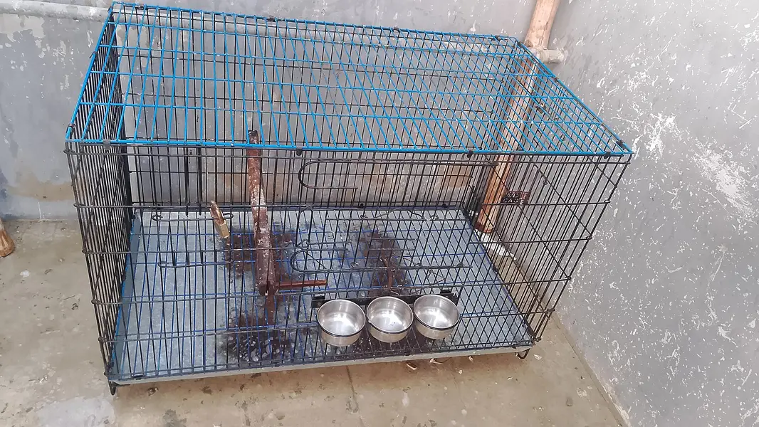 big parrot cage for sell in good condition — photo 3