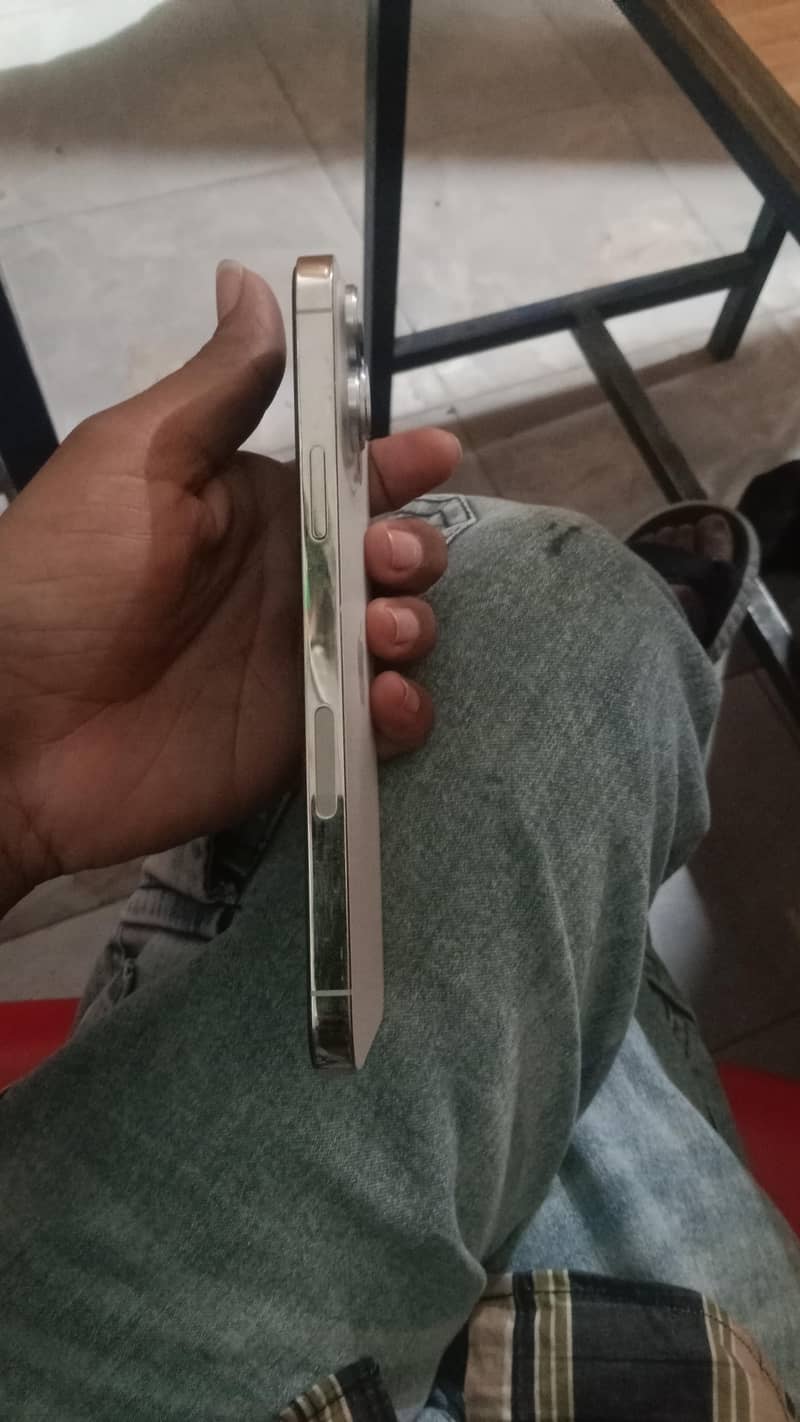 Apple iPhone 13 Pro Max 2