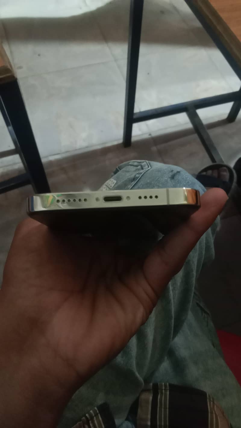 Apple iPhone 13 Pro Max 4
