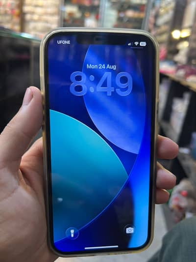 Apple iPhone 12 Pro Max