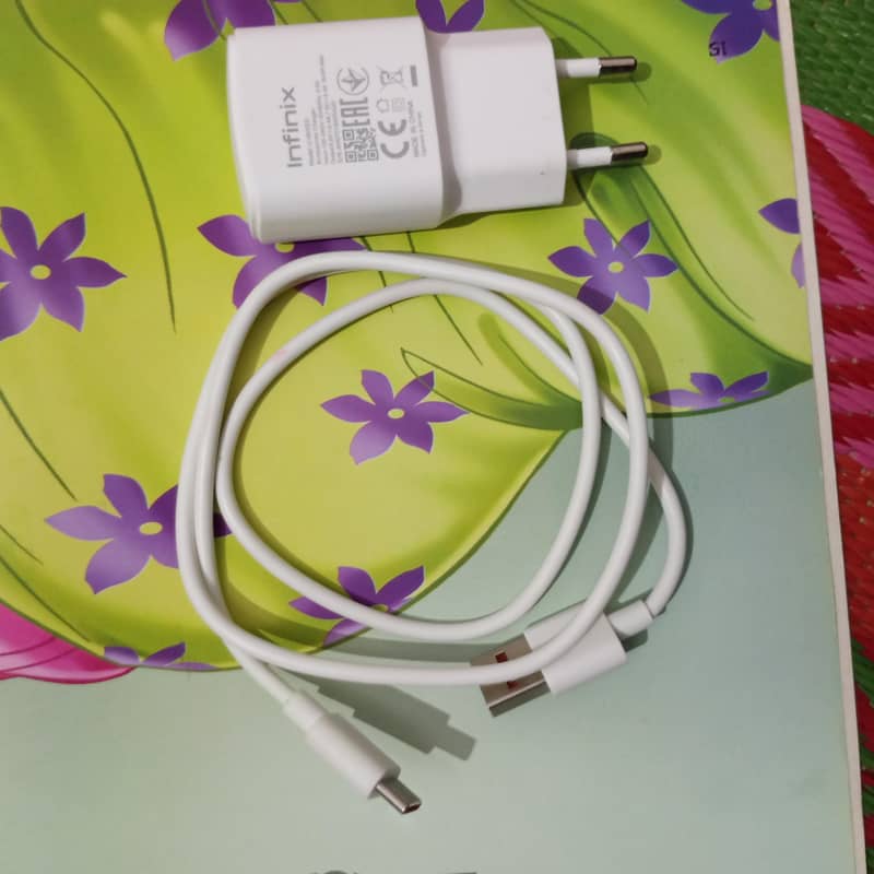charger 1