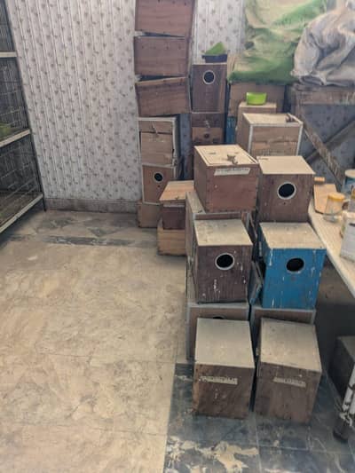 breeding box