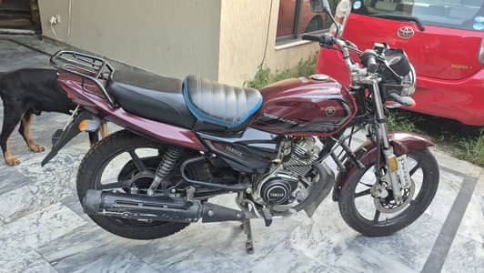 Model 2024 39000 km genuine condition No accident in very good condit
