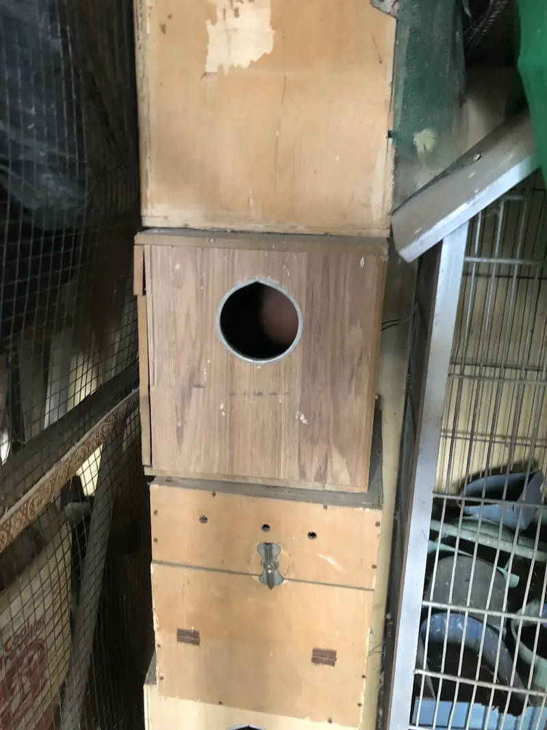 cocktail boxes and cages — photo 2