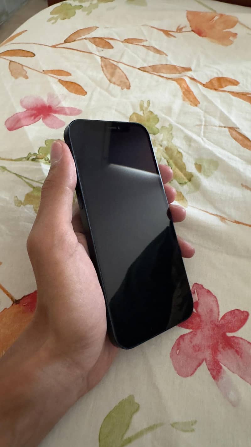 Apple iPhone 12 1