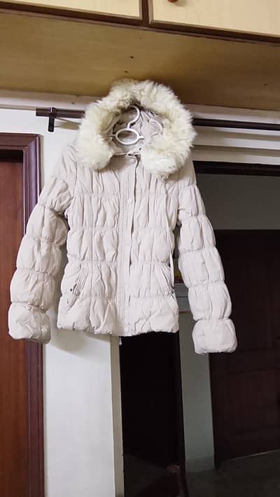 Winter Jackets n Coat