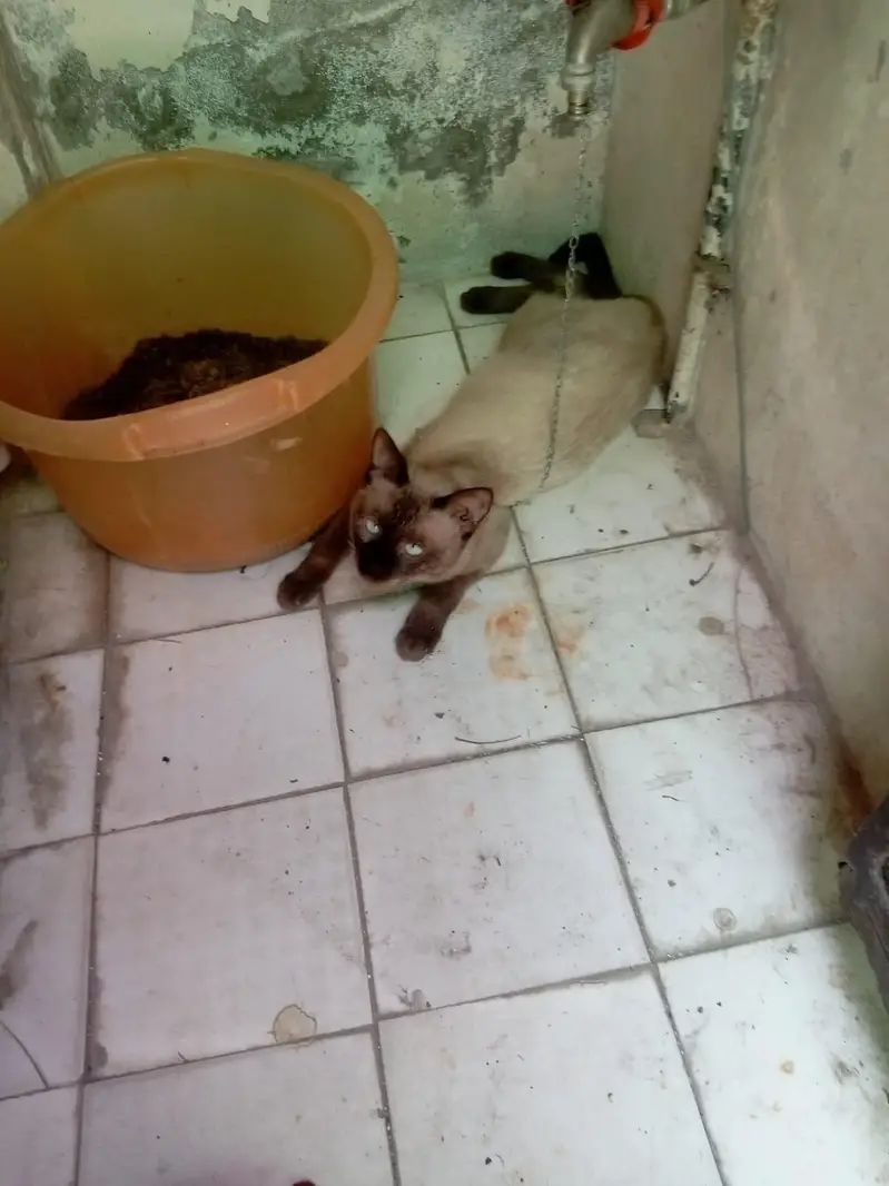 full taim — photo 3