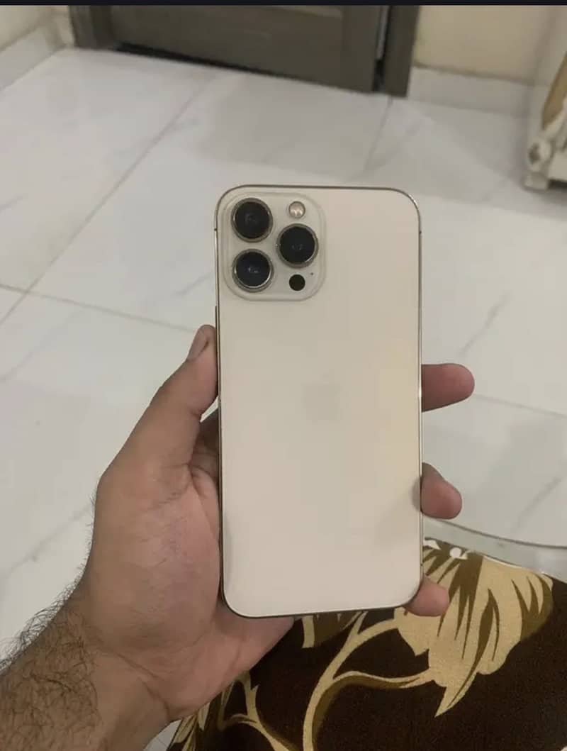 Apple iPhone 13 Pro Max 1