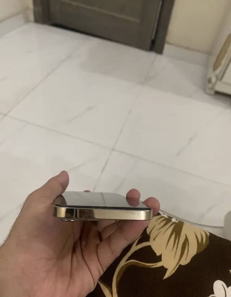 Apple iPhone 13 Pro Max 2