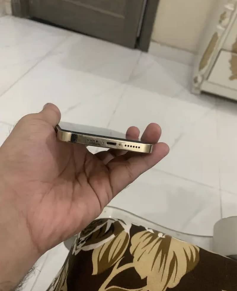 Apple iPhone 13 Pro Max 3