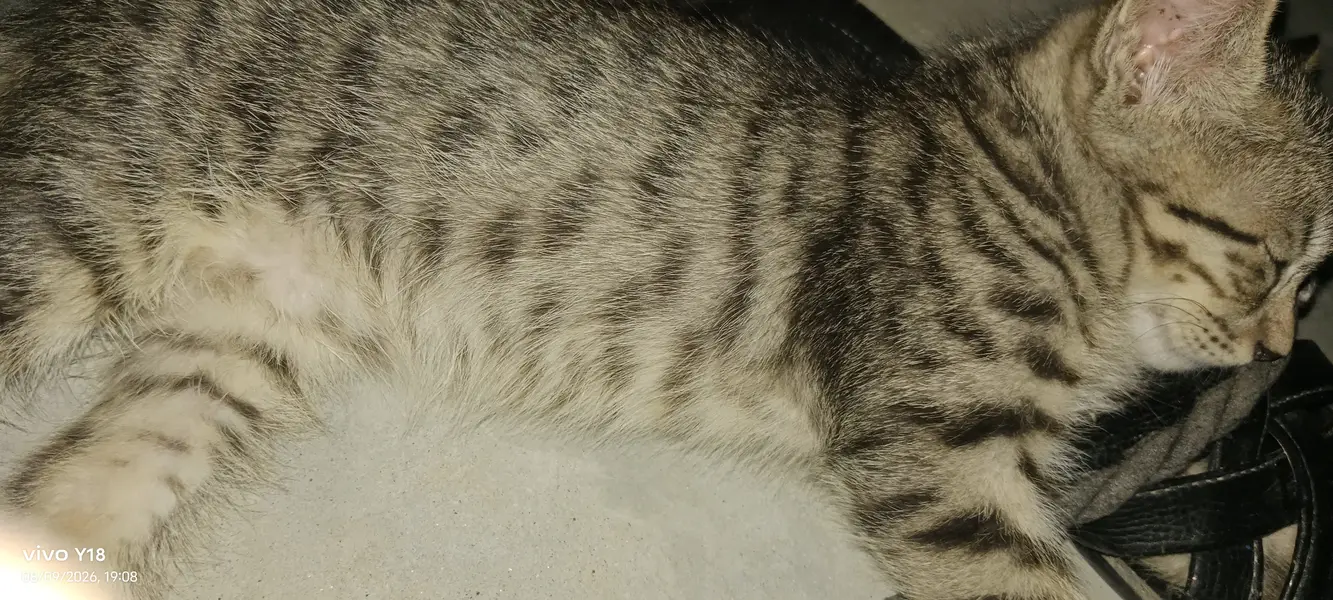 It's very rare — photo 3
