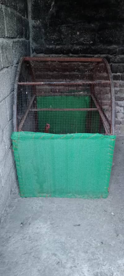 hen cage