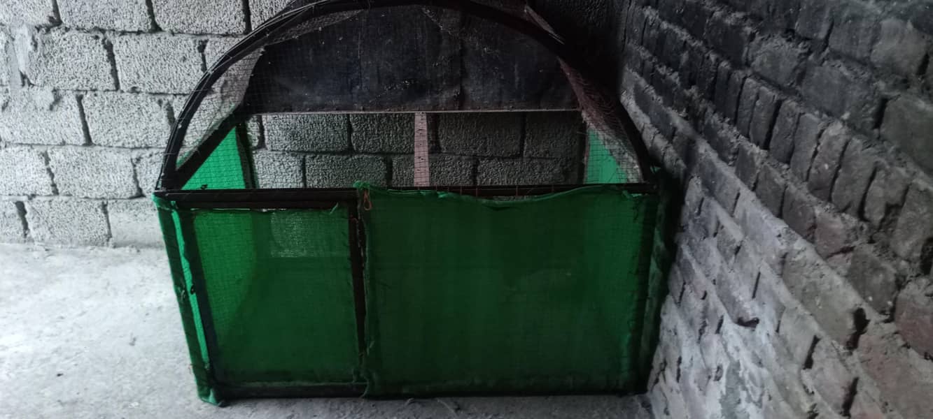 hen cage 2