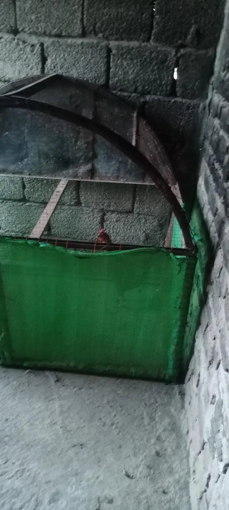 hen cage — photo 4