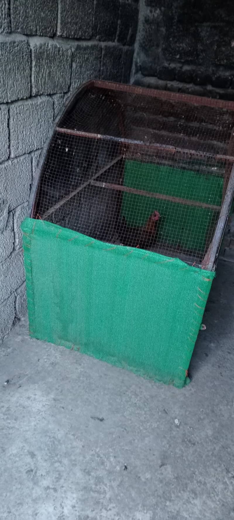 hen cage 4