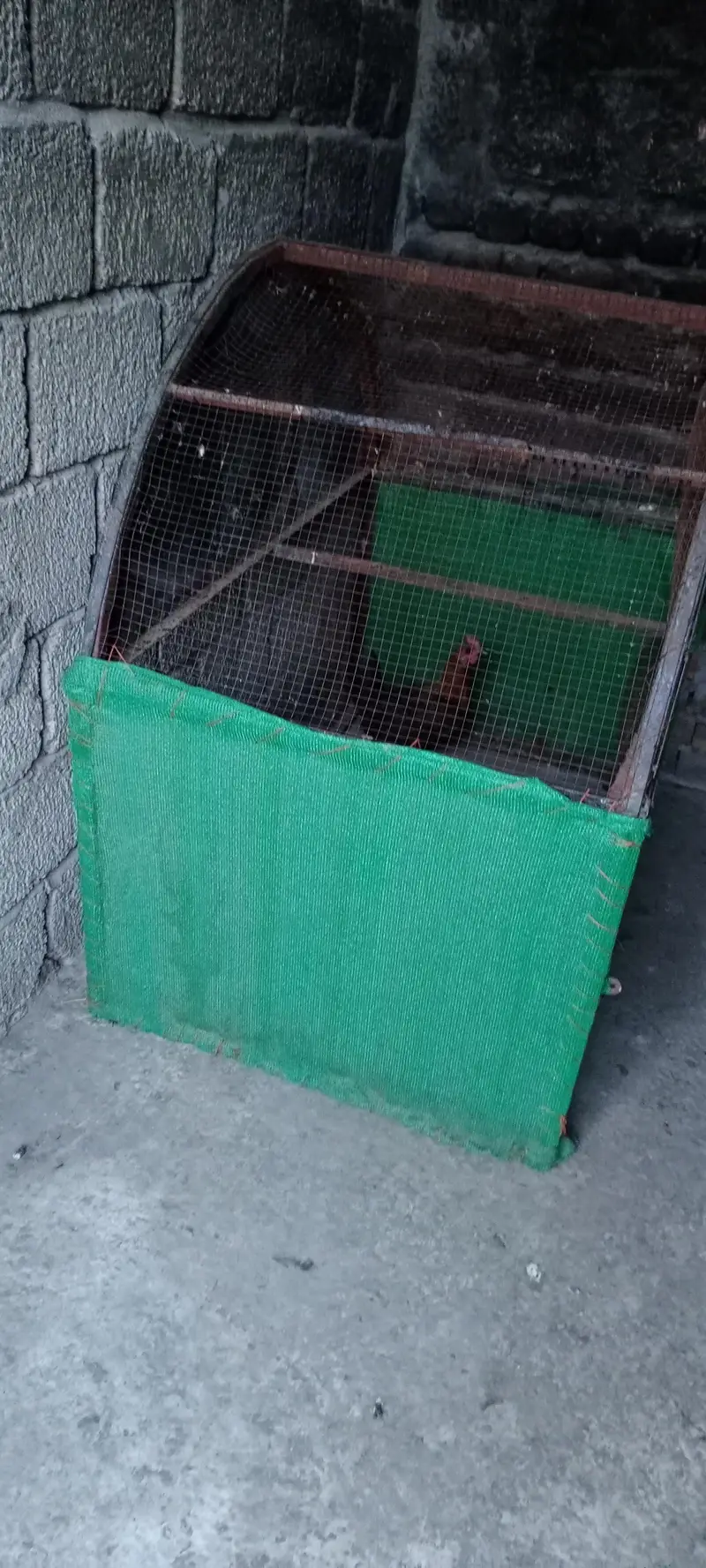 hen cage — photo 5