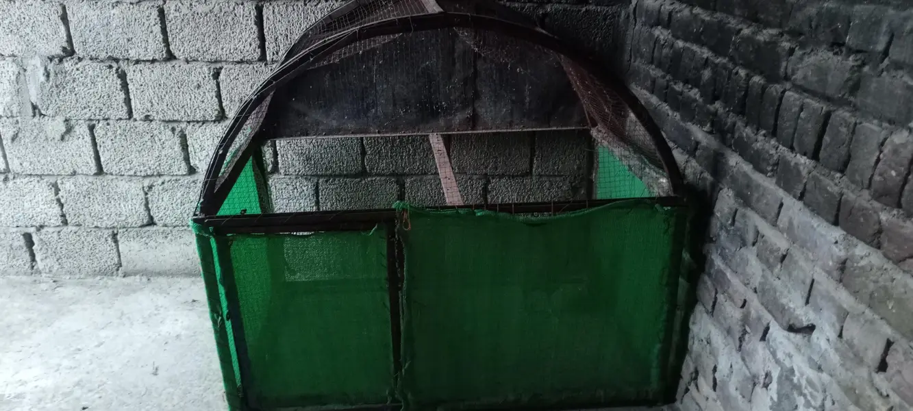 hen cage — photo 6
