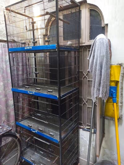 cage for birds