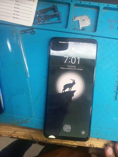 OPPO F19