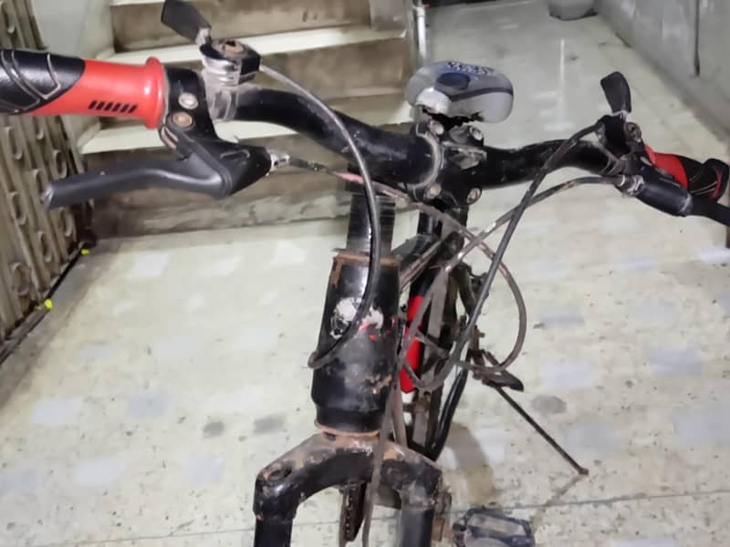 APPLE CYCLE 3