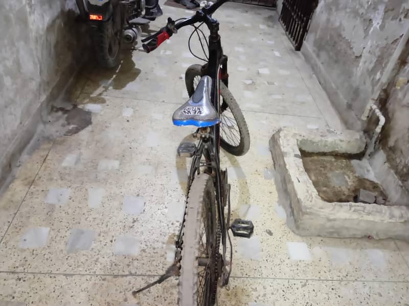 APPLE CYCLE 4