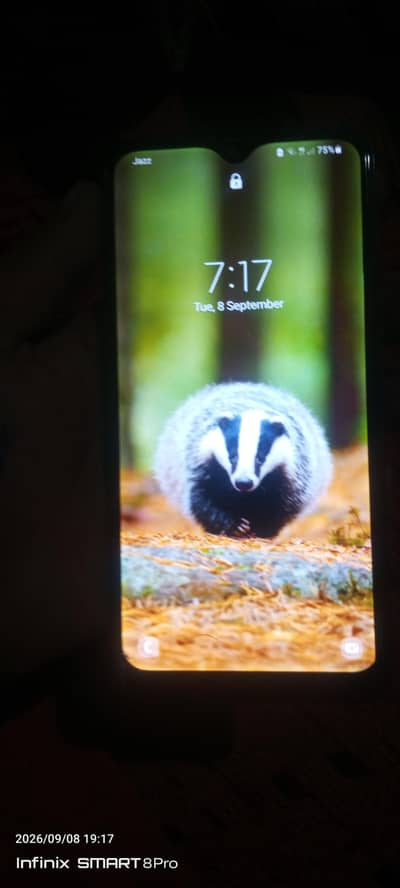 samsung A10s