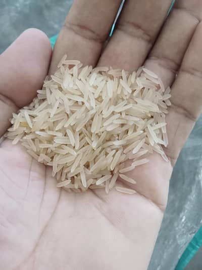 Rice for sales Best Premium Quality