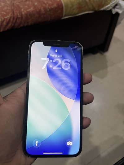 Apple iPhone 12 Pro blue color