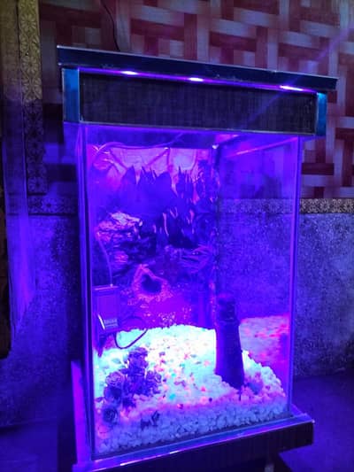 aquarium