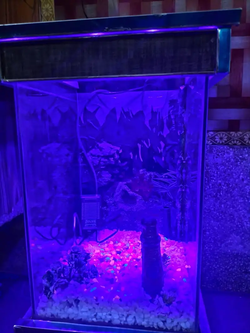 aquarium — photo 2