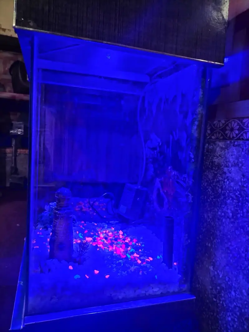 aquarium — photo 3