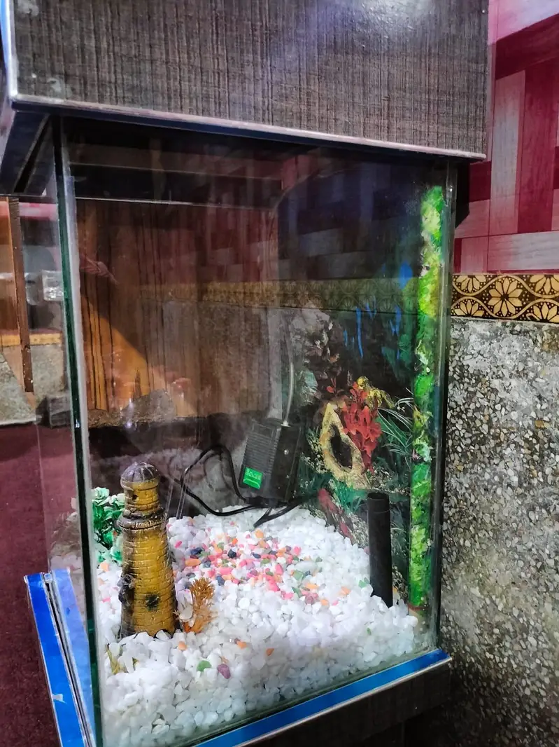 aquarium — photo 4