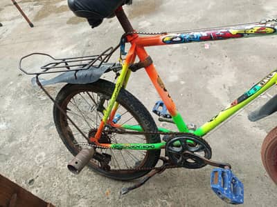 new cycle