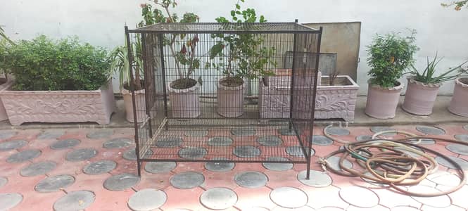 Raw Cage