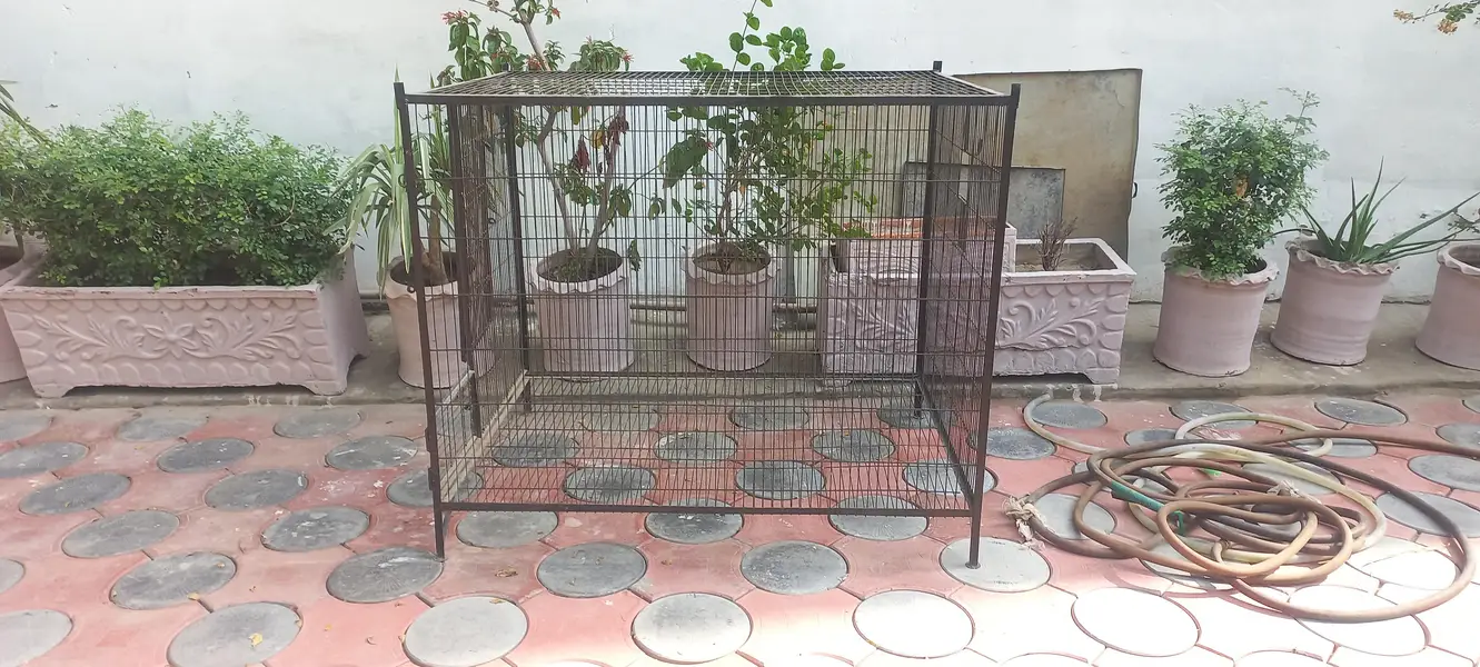 Raw Cage