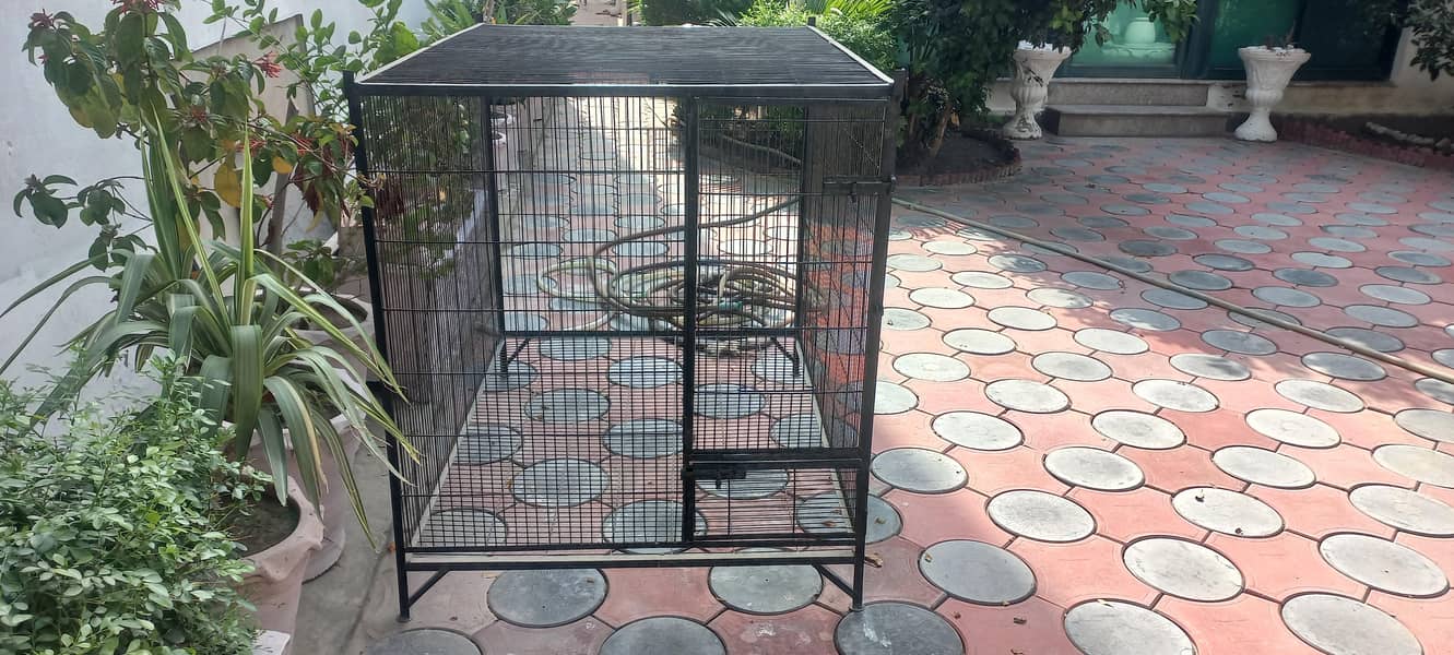Raw Cage 1