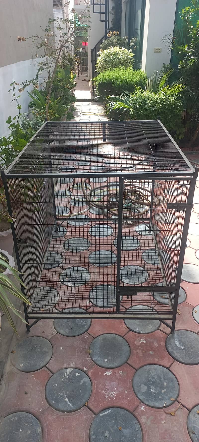 Raw Cage 2