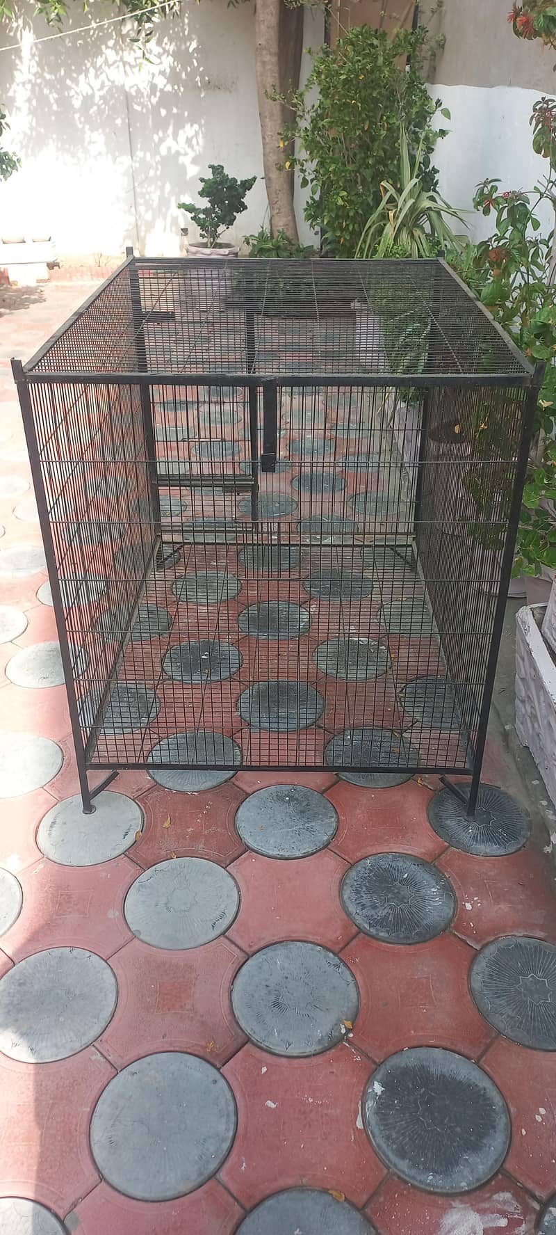 Raw Cage 3