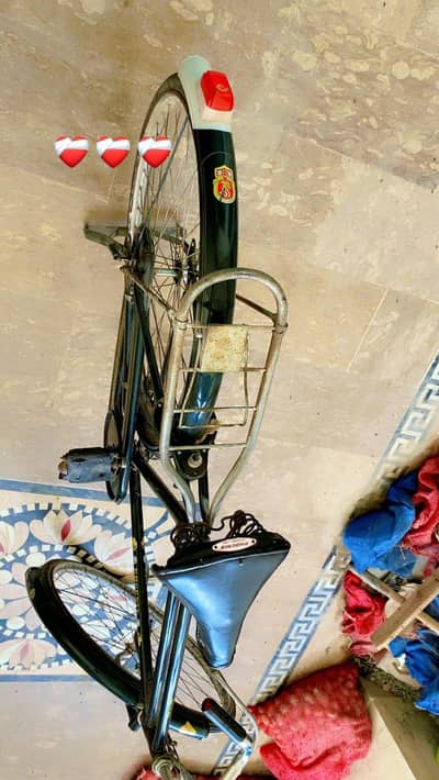 Phenix china cycle Phoenix for sale