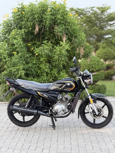 Yamaha ybz dx 2025 Purshasing 7 month