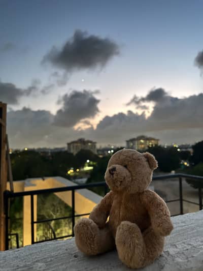 Teddy bear from Ted 2