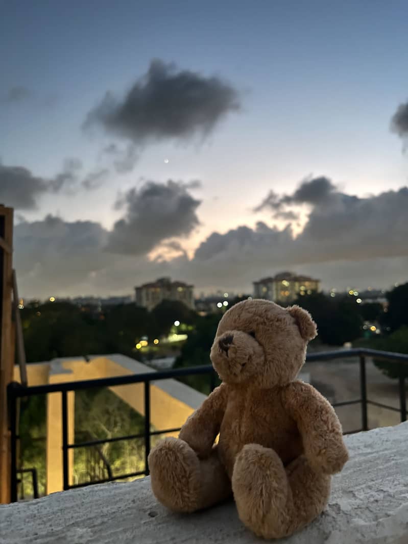 Teddy bear from Ted 2 0