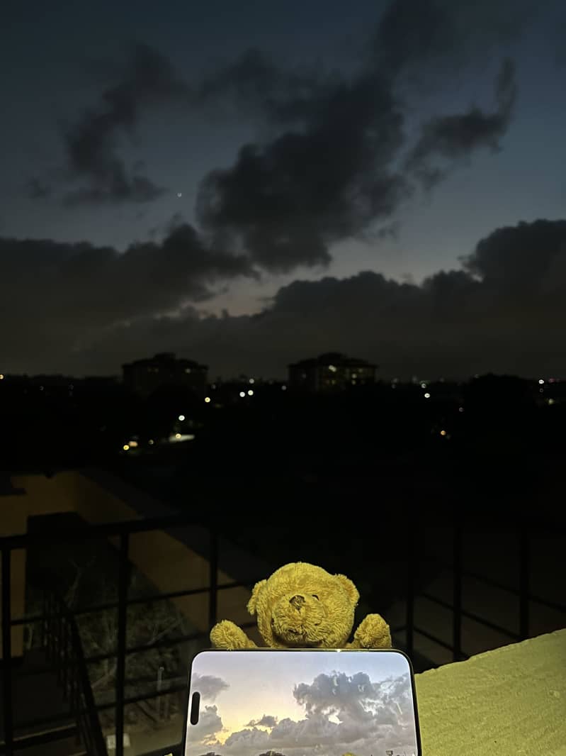Teddy bear from Ted 2 1