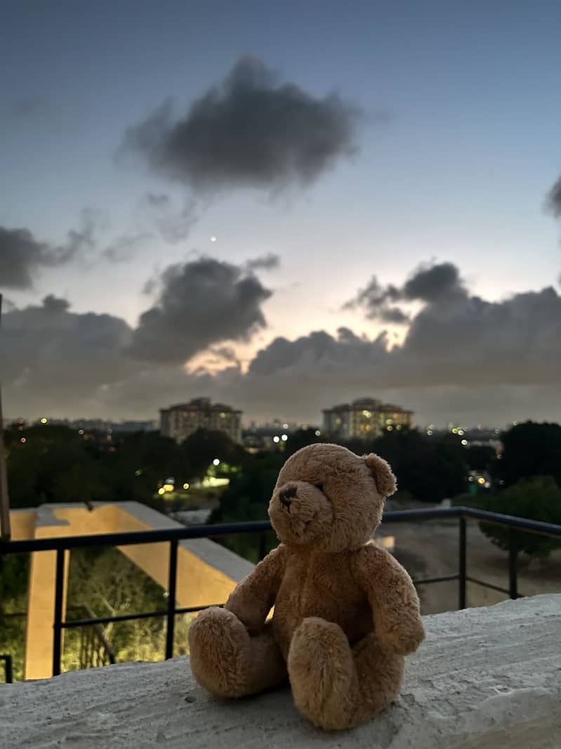 Teddy bear from Ted 2 2
