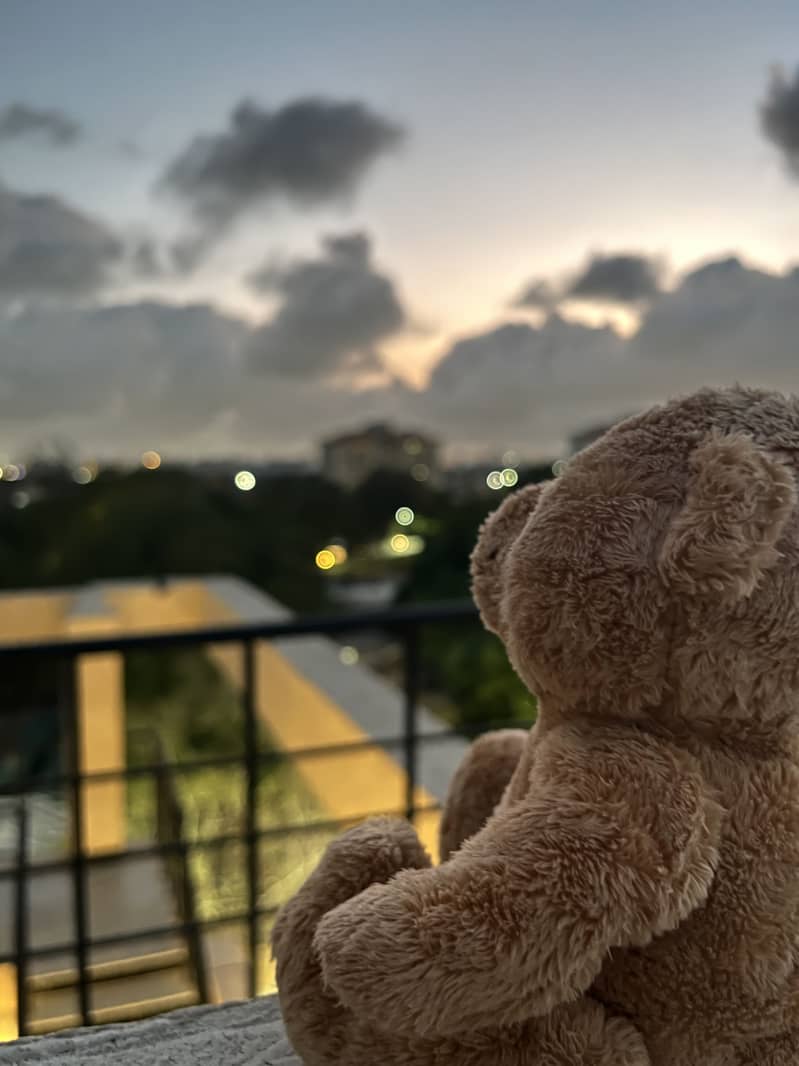 Teddy bear from Ted 2 3