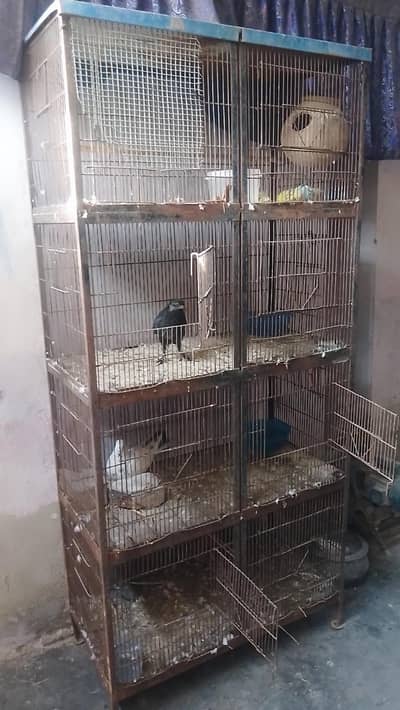 Birds Cage for Sale