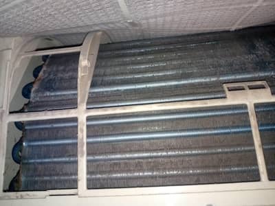only inner Dawlance 1.5 ton jeniun band condition 10/10